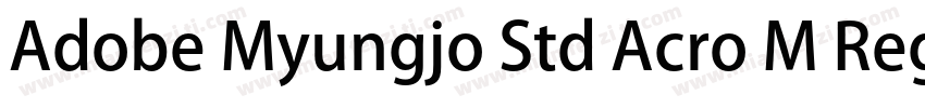 Adobe Myungjo Std Acro M Regular字体转换
